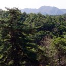 경찰관 순직비 이미지