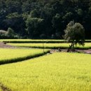 임진강목장 이미지