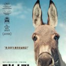 당나귀숲 이미지