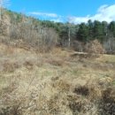 서면 안보1리 이미지