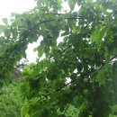 박광수농장 이미지