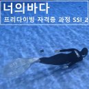 용운정보통신 | 대전 너의바다 프리다이빙 자격증 과정 SSI 1 _ 풀장 교육 1
