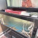 덮밥90도씨 부천중동점 | 부천 낙지볶음 맛집 착한낙지 부천중동점 메뉴 가격 구성 정리