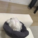 윤구농장 이미지