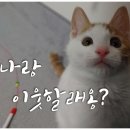 커피셀프톡