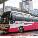 신흥여객 이미지