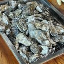 (주)평생동반자우리 이미지