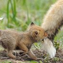 조치항외과의원 이미지