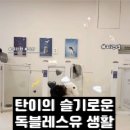 독 블레스 유 이미지