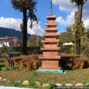 포천노곡초등학교 이미지