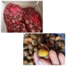 🌷오늘 점심 뭐 먹지~?🌷 이미지