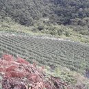 동량면사무소 이미지