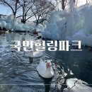 요리조리 동화요리사B | 경주 국민힐링파크 겨울 왕국에서의 아이와 얼음 카누부터 썰매까지 완벽 정복