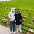 훈이목장 이미지