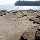 공룡의숨결 이미지