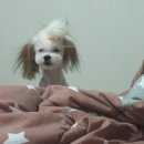 소현세탁 이미지