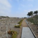 무궁화비료 이미지