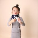 엠버(Amber) 이미지