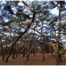 갤러리배동 이미지