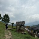 수평목장 이미지