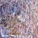 와룡암쉼터 화장실 이미지