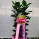 태선산업(주) 이미지