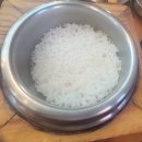 김포금쌀밥집 이미지