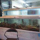 금정산주유소 이미지