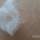 이불의류백화점 이미지