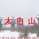 2015년 2월 21일 강원도 태백시소재 태백산(1.567m) 신년산행 이미지