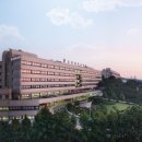 일등병원 이미지