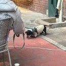 성동공영주차장 화장실 | 코끼리 베이글 성수점 방문 후기(베이글 가격 및 추천,주차 정보)