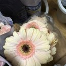 화훼장식기능사 이미지