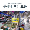 고하대로 | 목포 회센터 북항 윤이네 횟집 후기 모음