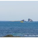 형제해안로 이미지