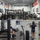 SKY헬스 | 춘천 헬스 학곡리 썬더짐 짐형 대형 헬스장 기구 추천