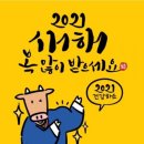 박바다PT 이미지