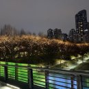 양재천 수변무대5 이미지