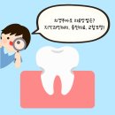 뉴플란트치과의원 이미지