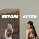 몰리짐 장기점 이미지