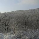 1월 20일 (일요일)[ 07:00 출발] 전남 광주 국립공원 무등산(해발1,187m) 새인봉 눈꽃산행 이미지