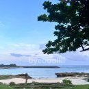 브리사 마리나 | 미야코지마 숙소 웰니스 빌라 브리사 후기 이야기 (feat 호텔브리즈베이 마리나 수영장, 룸 컨디션)