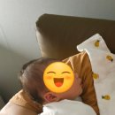 더올리비에르 이미지