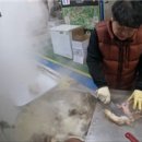 장모님곰탕