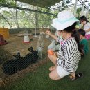 파란하늘목장 이미지