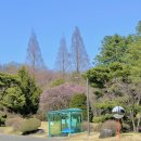 팬도로시중앙대학교안성캠퍼스 | 중앙대학교 안성캠퍼스의 봄