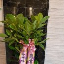 휴노래연습장 이미지