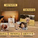 어스에코라이프 이미지