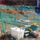 청룡동-26 이미지