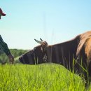 사재농장 이미지